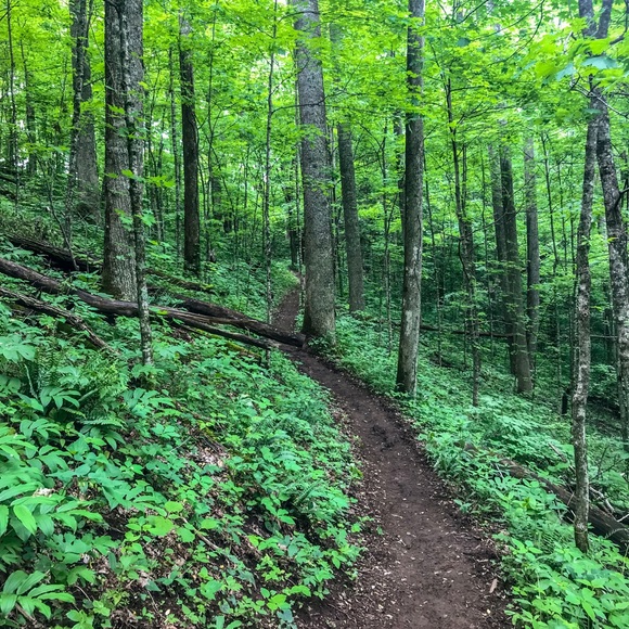 Meet your Posher, Jana - Picture 1 of 1